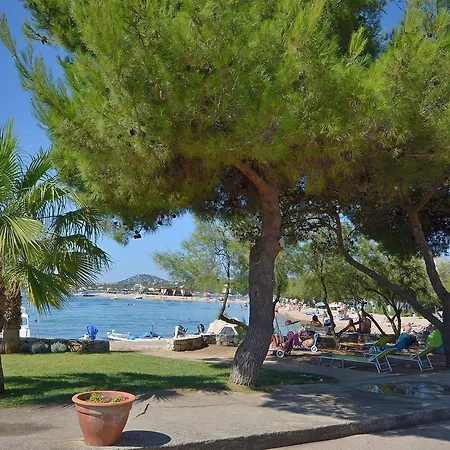Ana Apartment Vodice